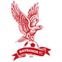 team-logo