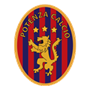 team-logo