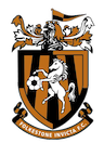 team-logo