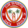 team-logo