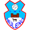 team-logo
