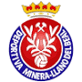 team-logo