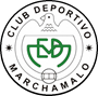 team-logo