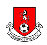 team-logo
