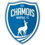 team-logo