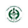 team-logo