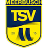 team-logo