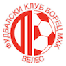 team-logo