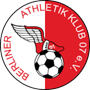 team-logo