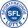team-logo