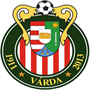 team-logo