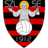 team-logo