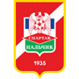 team-logo