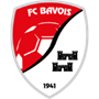 team-logo
