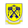team-logo
