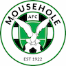 team-logo