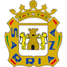team-logo