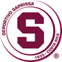 team-logo