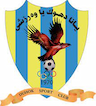team-logo