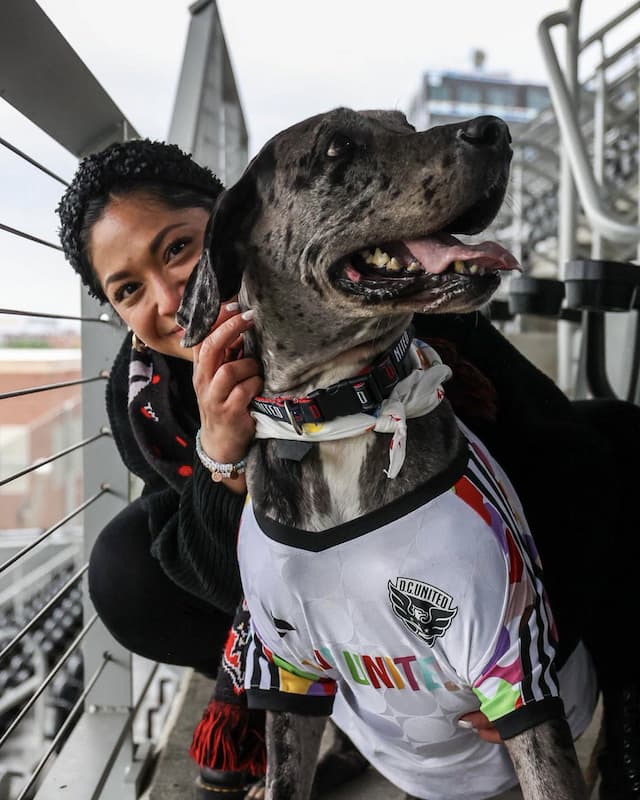 Social