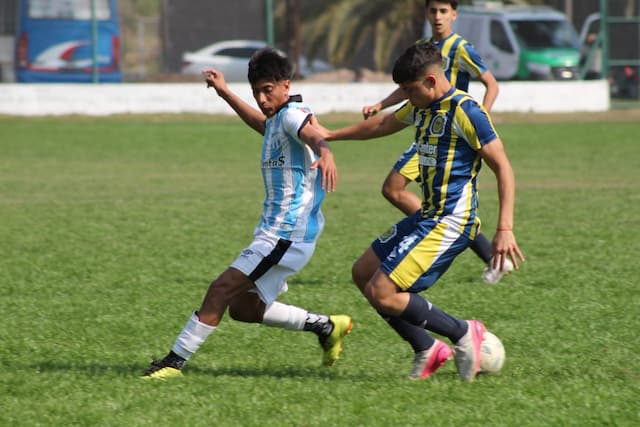 Social